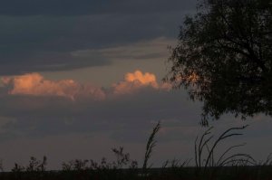 Sunset; 13August2015; FromRestStopAlongI-40; 1556 copy