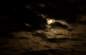 Pre-eclipse moon, Madison Wisconsin