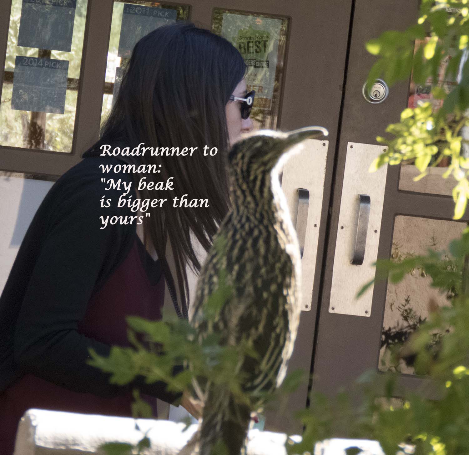 RoadrunnerToWoman- "MyBeakIsBiggerThanYours"2